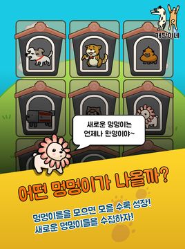 개판이네 - 강아지 키우기 遊戲截圖