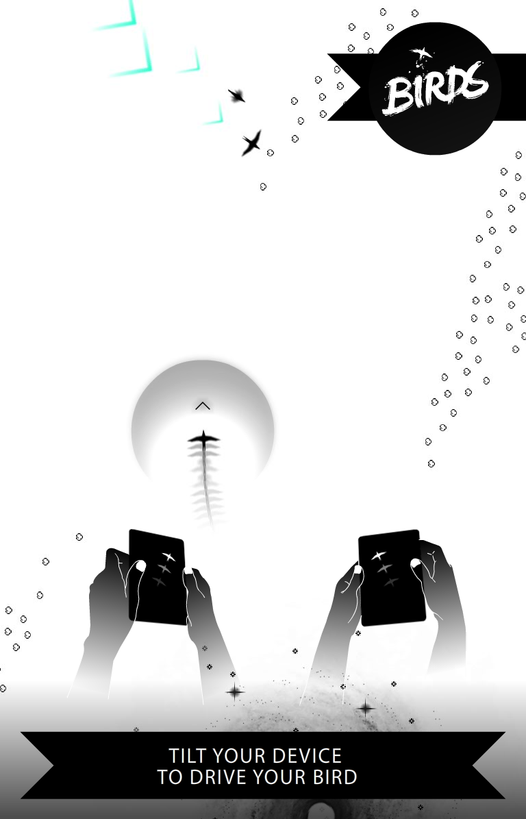 Birds Game Screenshot