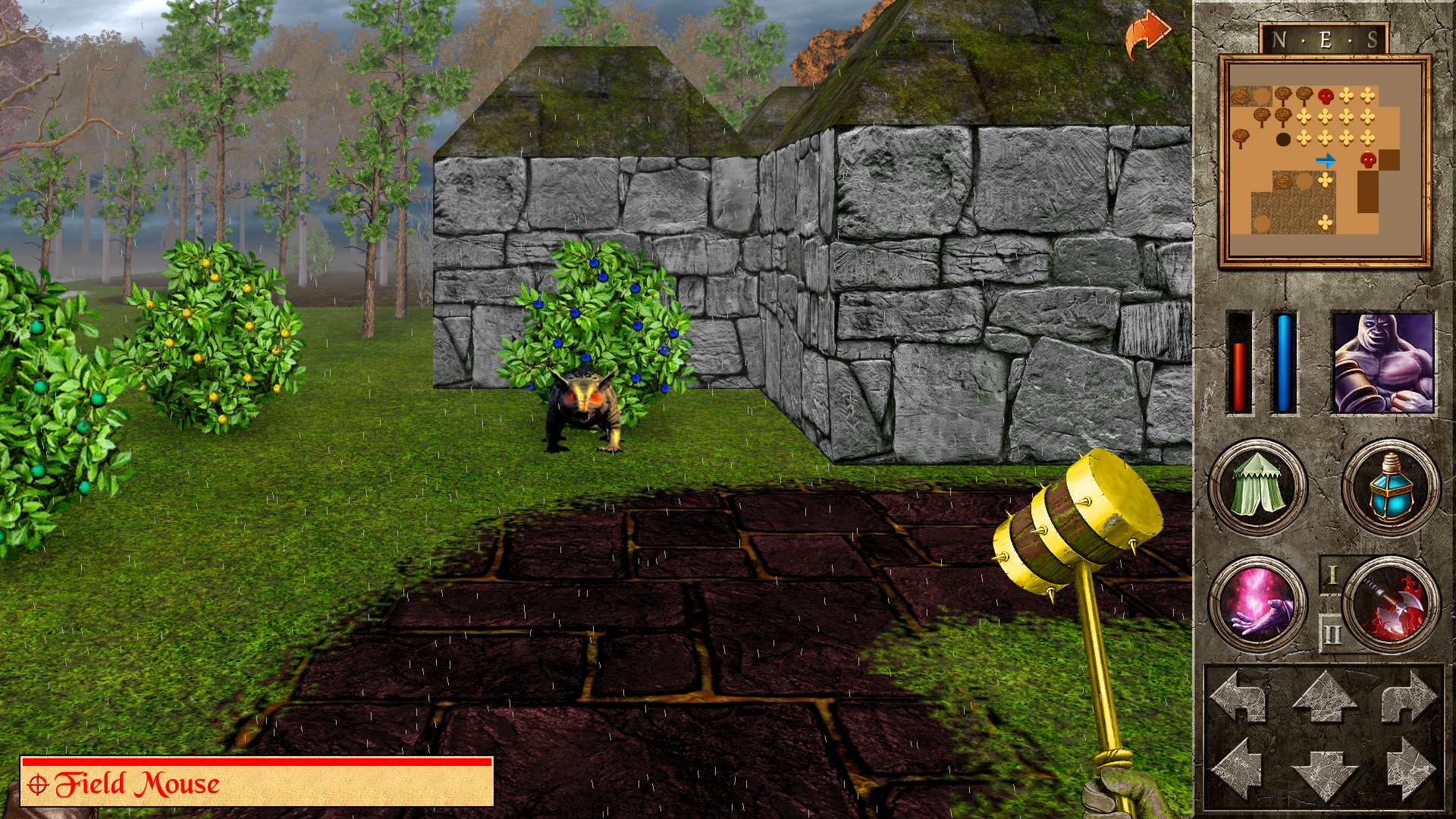 The Quest - Ragnar's Revenge Game Screenshot