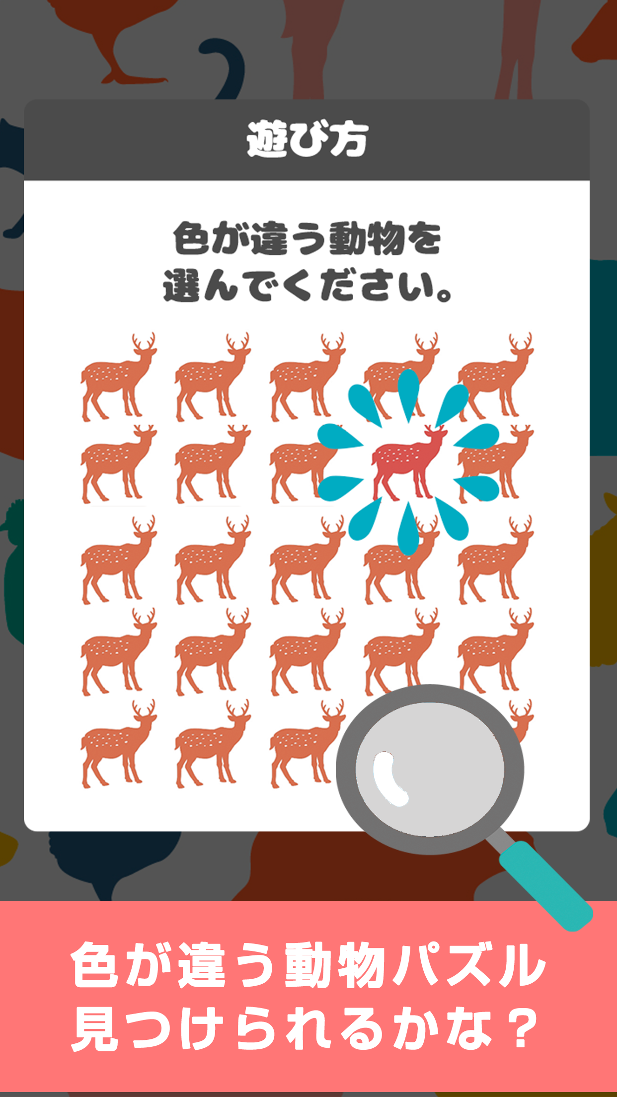 動物色彩 間違い探しで色彩感覚をテスト診断 無料ゲーム ดาวน โหลดเกม Taptap