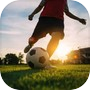 Icon of Football Pitch Simulator