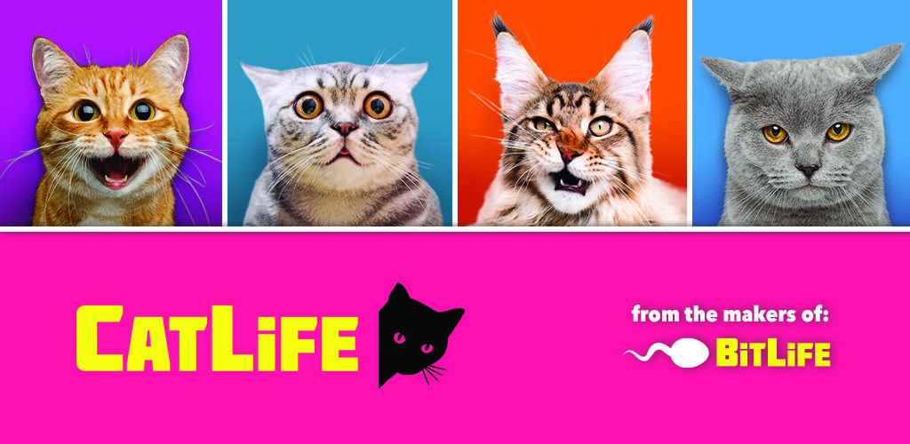 Banner of BitLife Cats - CatLife 1.8.3