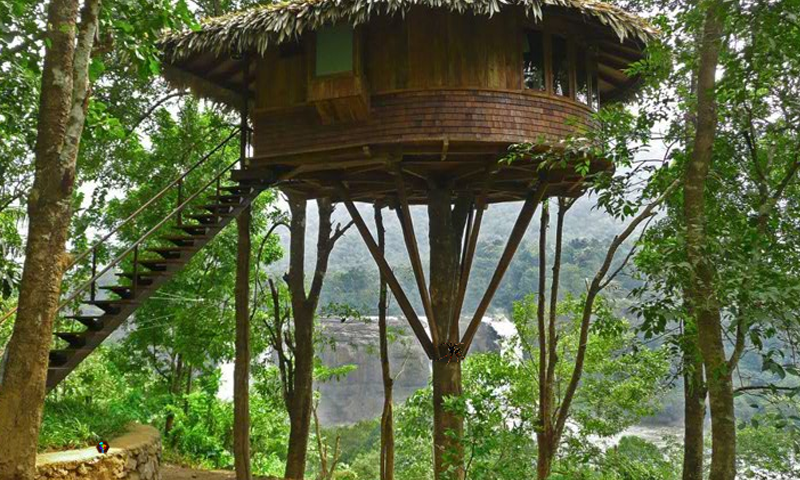 Mushroom Treehouse Escape Game Screenshot