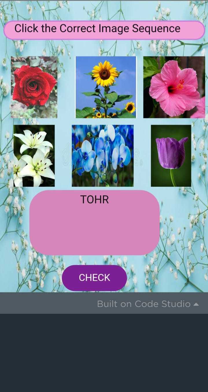 Choose the correct sequence Game Screenshot