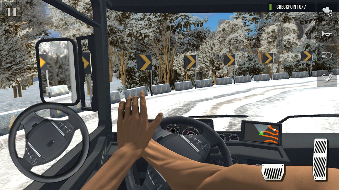 Screenshot of Pro Truck Driver