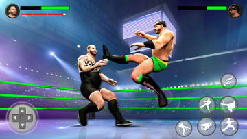 PRO Wrestling Fighting Game Game Screenshot