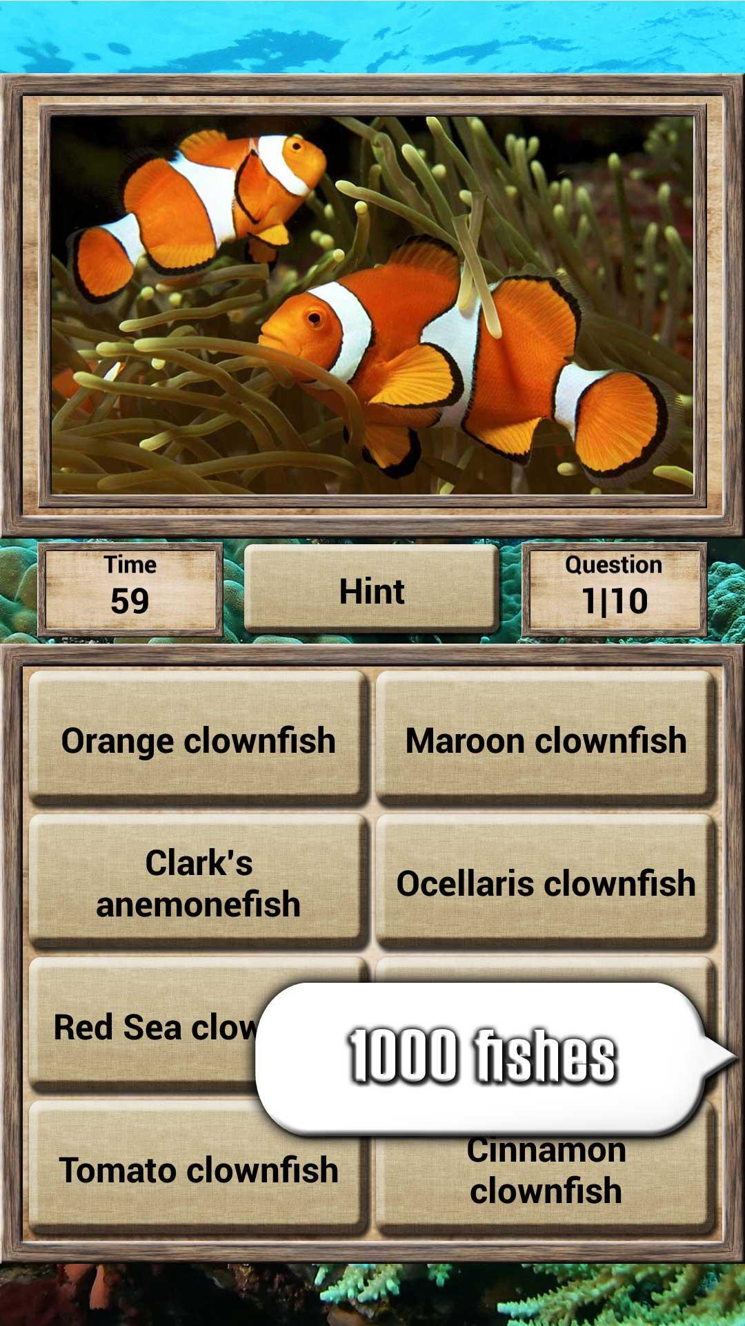 Скриншот игры Animal Kingdom - Quiz Game