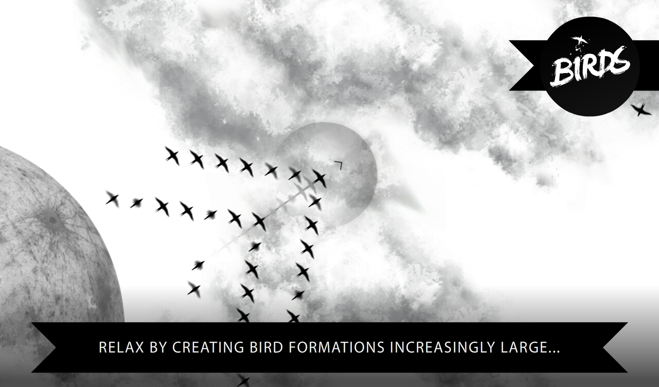 Birds Game Screenshot