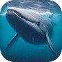 Icon of Humpback Whale Life Simulator