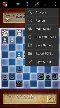Chess Pro Game Screenshot