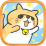 猫のエキゾチックショートヘアのえきぞうが追いかけるにゃ!