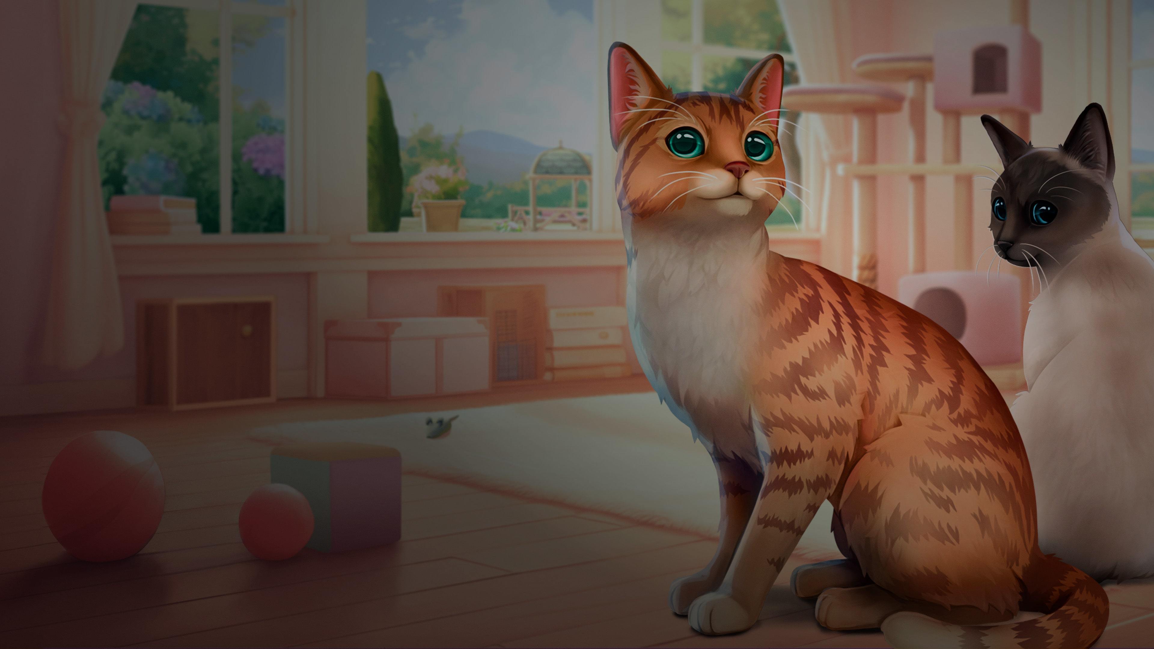 Banner of Cat Rescue Story 
