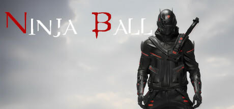 Banner of Ninja Ball 