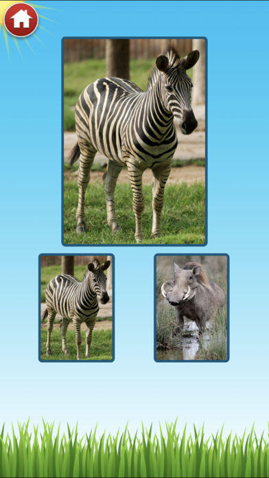 Zoo Sounds - Fun Educational Games for Kids Game Screenshot
