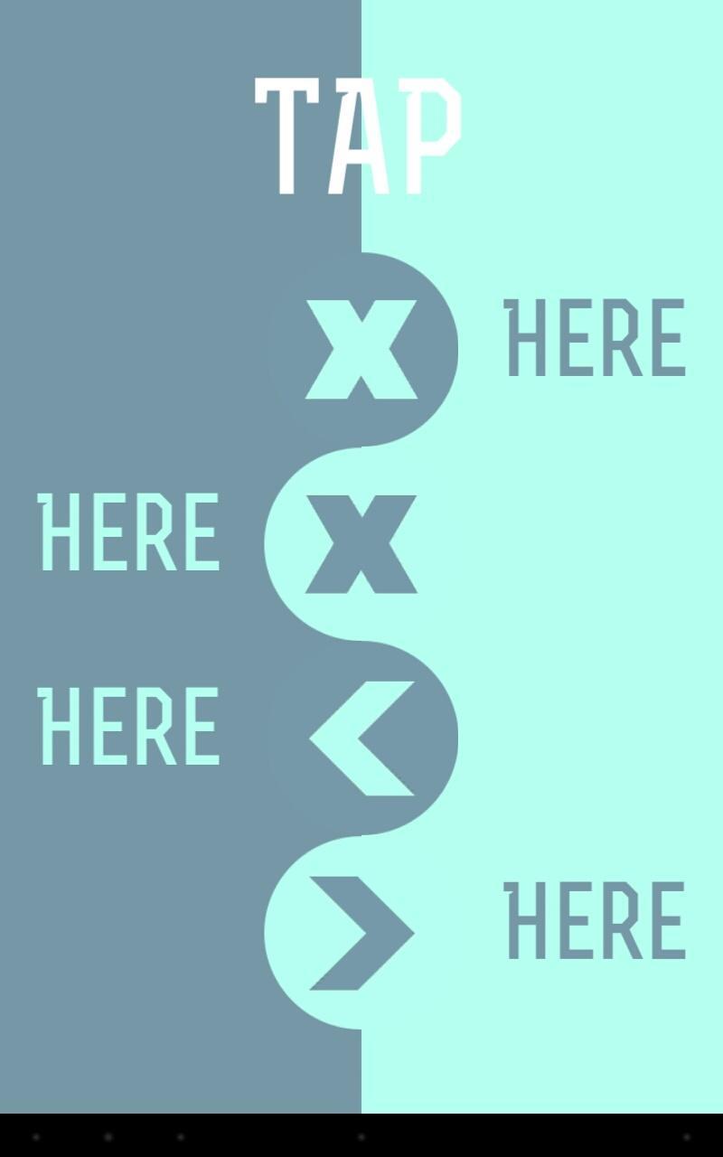 Dual Game Screenshot