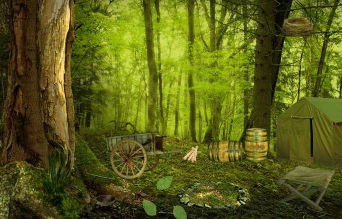 Screenshot of Escape Game Studio - Mysterious Forest