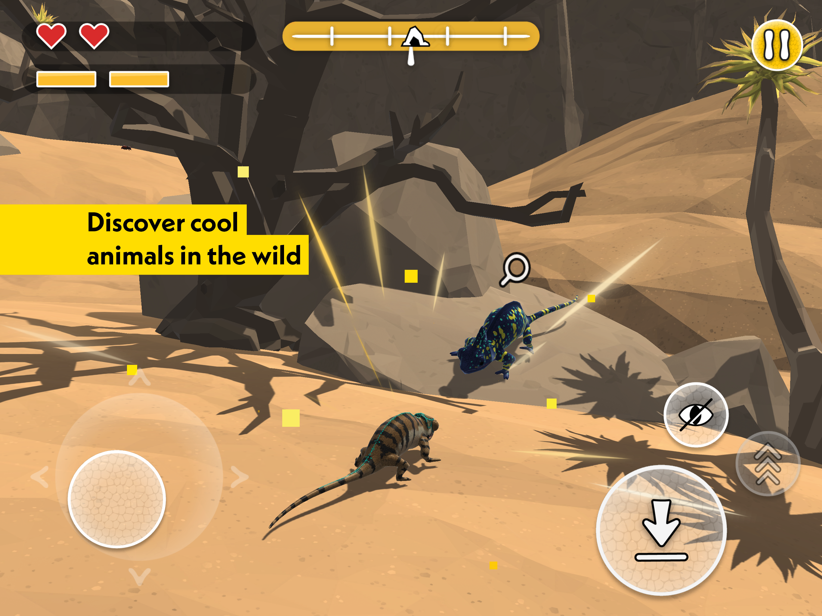 Captura de Tela do Jogo PLANET WOW Wildlife Adventure