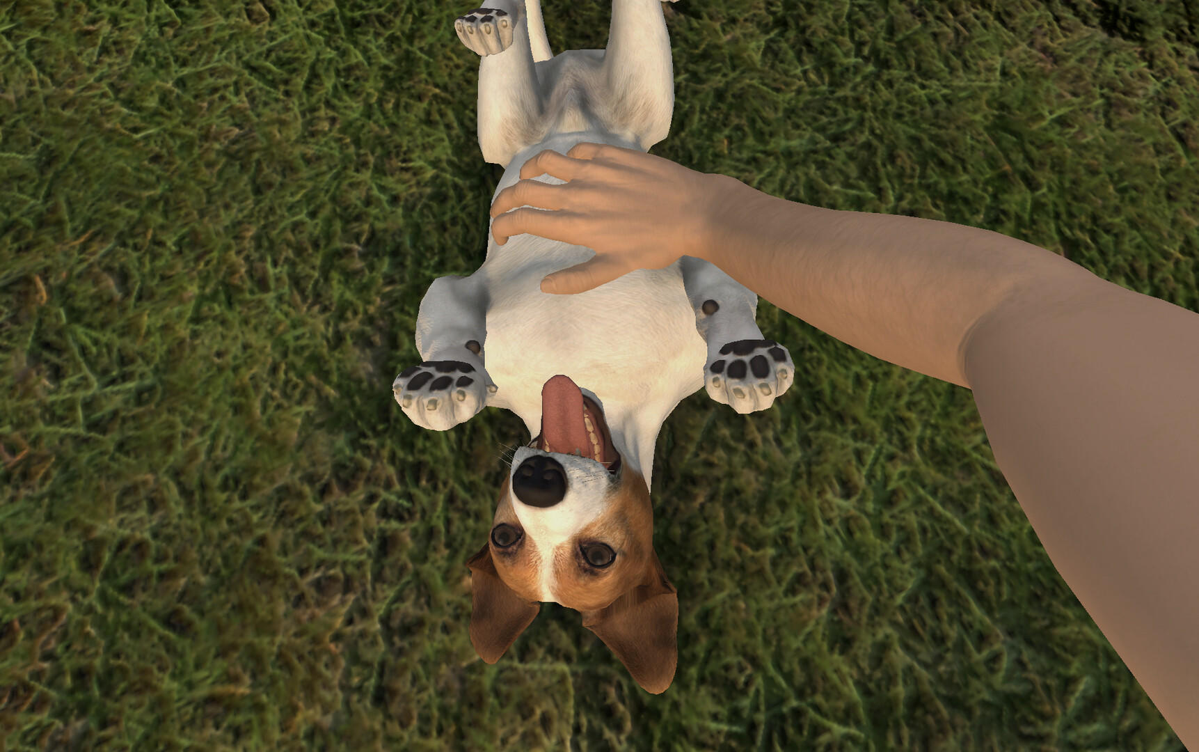 Screenshot of Pets Hotel