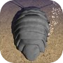 Ícone de Giant Isopod+