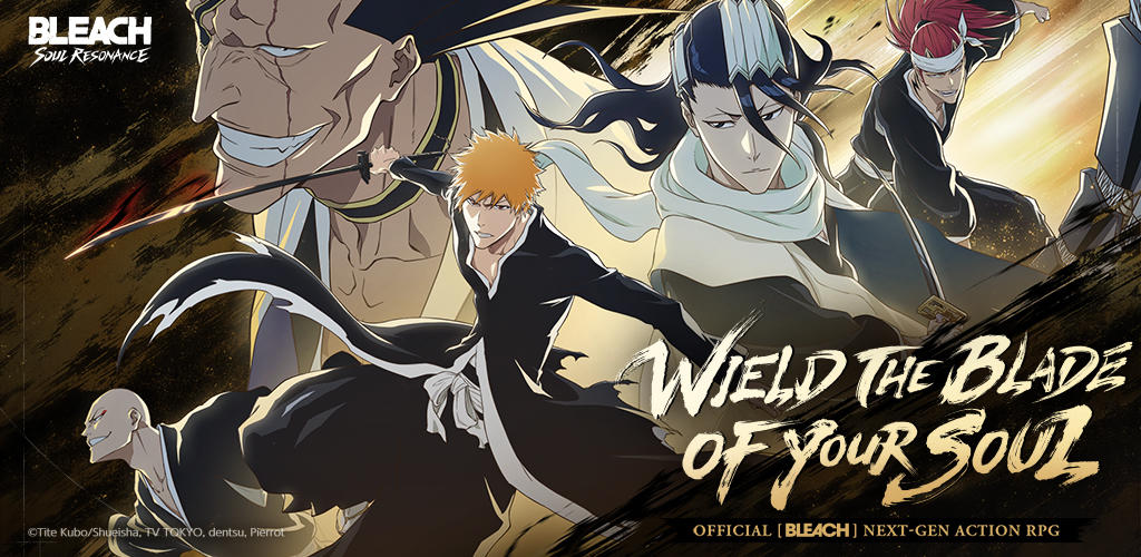 Banner of BLEACH: Soul Resonance 