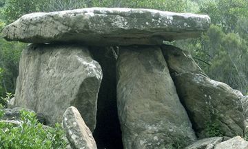 Chill Forest Escape 게임 스크린샷