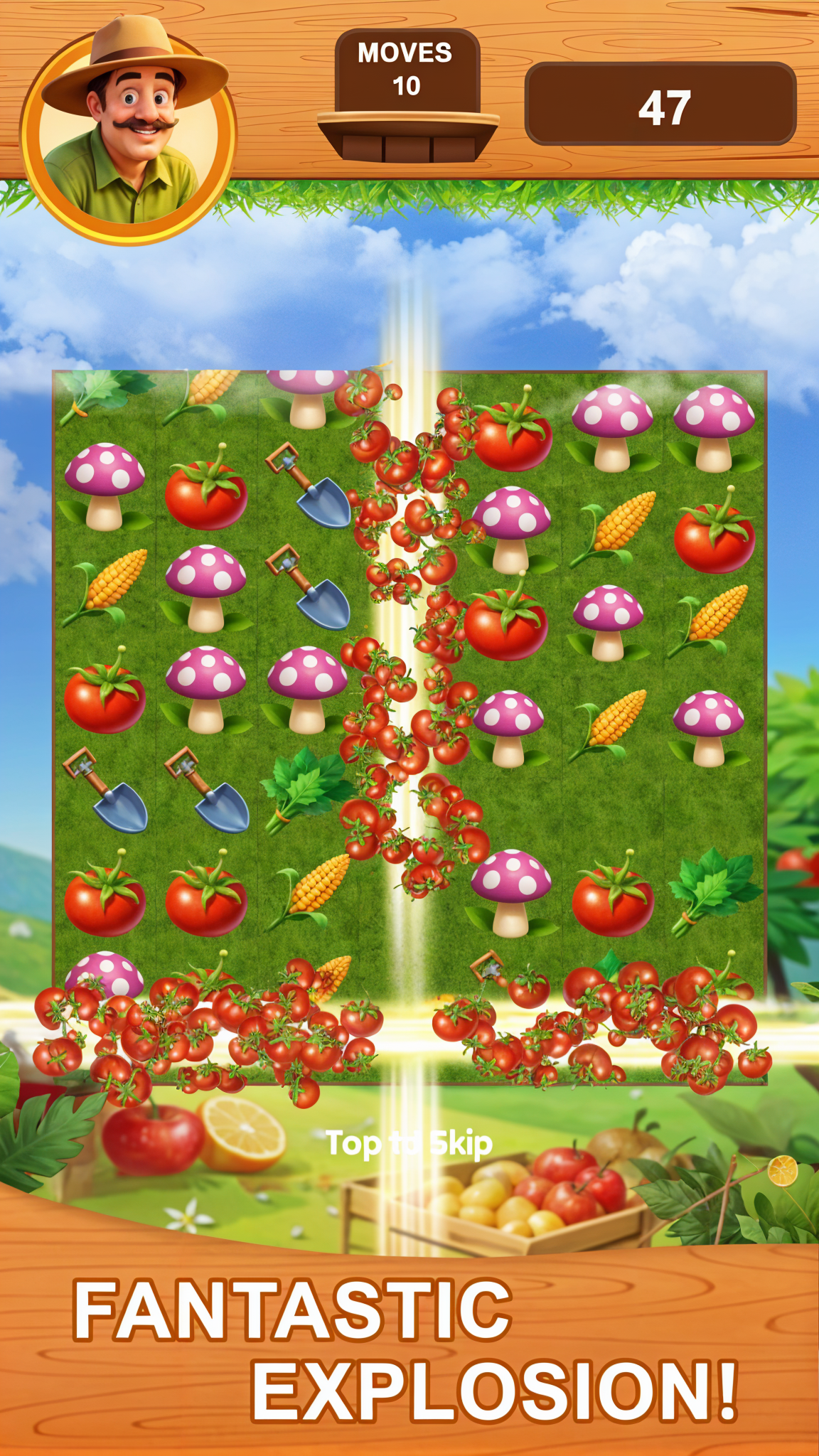 Village Farm Match 3 Game Screenshot