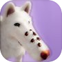 Icon of Dog ASMR: Skincare & Makeover