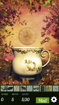 Hidden Object - Briar Rose Game Screenshot
