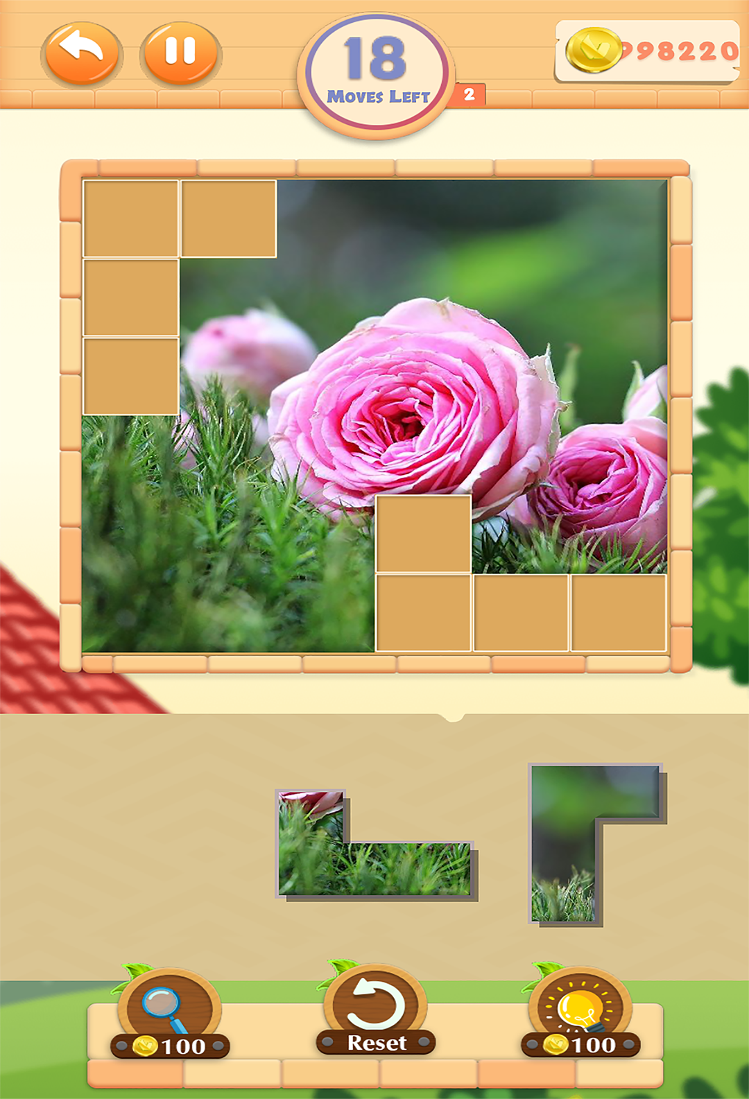 Pieces Pictures Game Screenshot