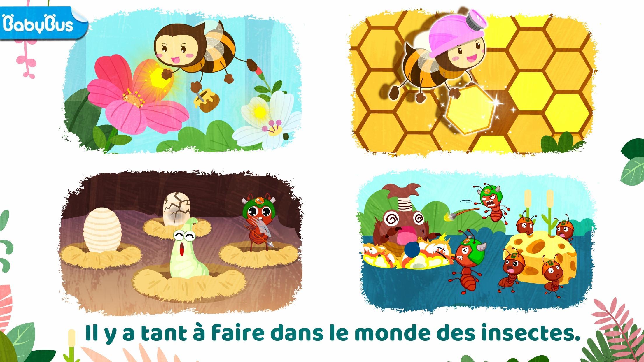 Screenshot 1 of Monde des insectes 8.67.00.00