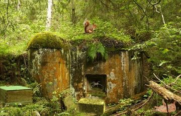 Escape Games - Natural Park Game Screenshot