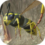 Icon of Wasp Nest Simulator