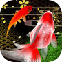 Иконка Sakura Goldfishing