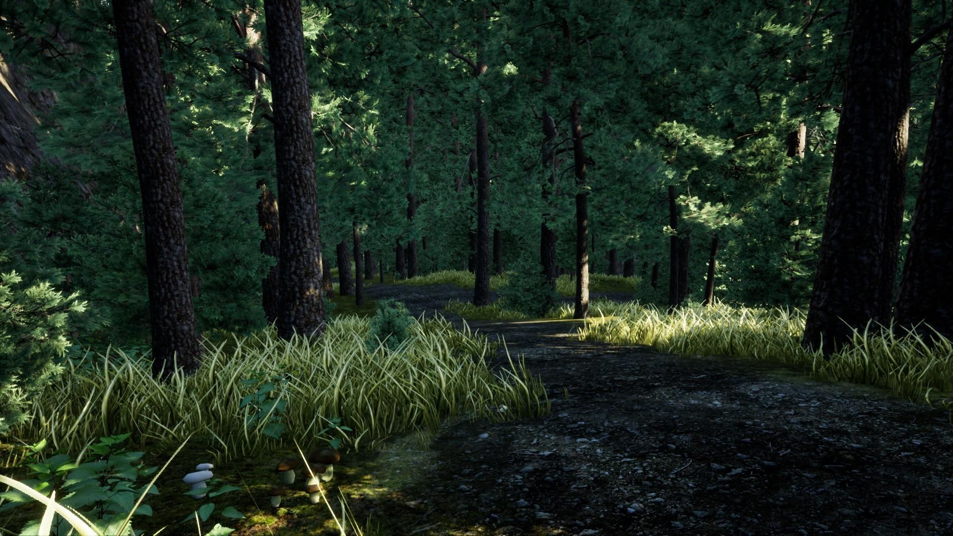 Nature Hunter Game Screenshot