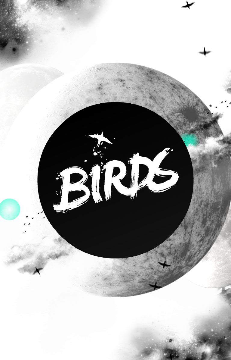 Birds Game Screenshot
