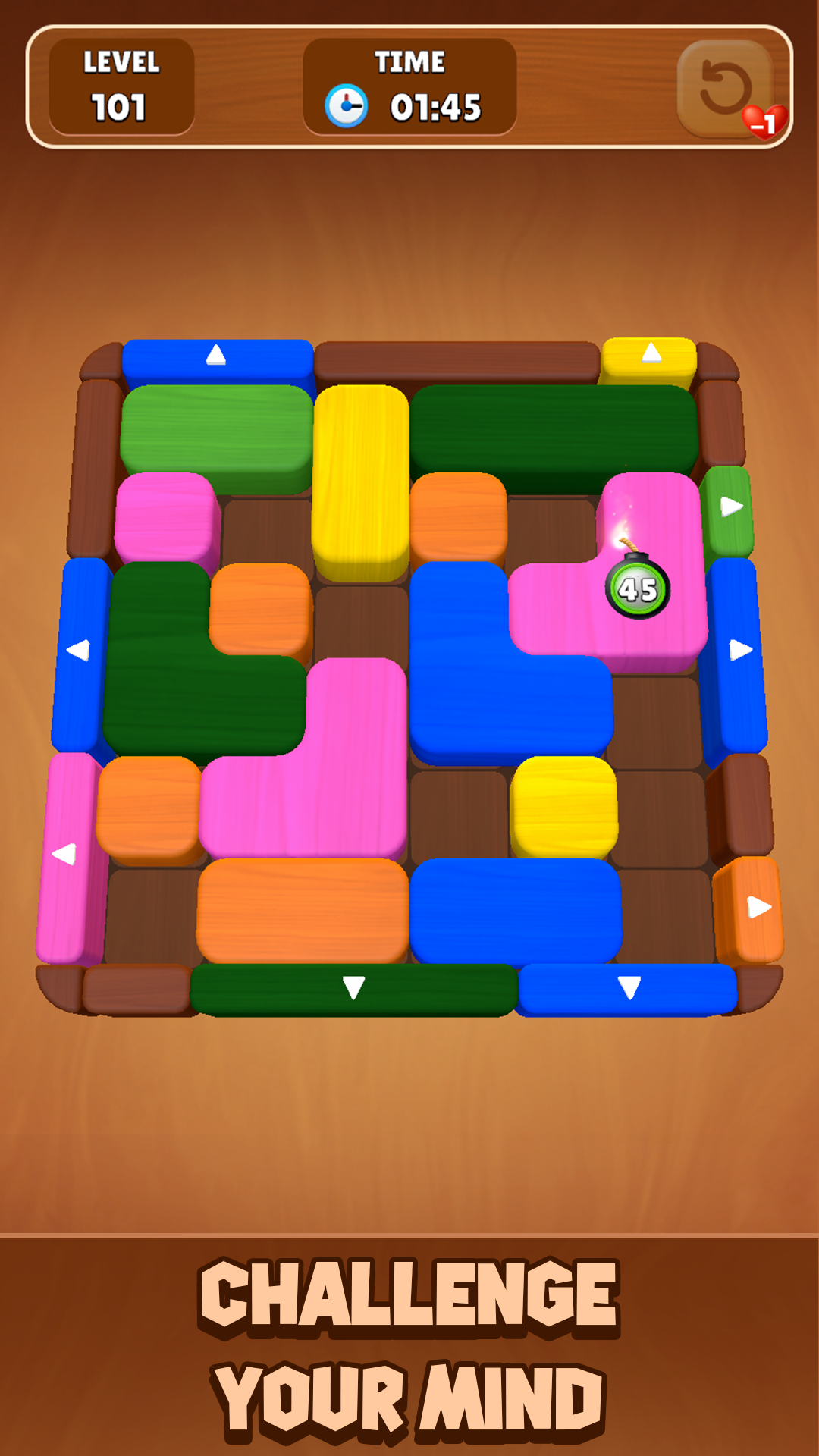 Wood Escape: Color Block Game Screenshot