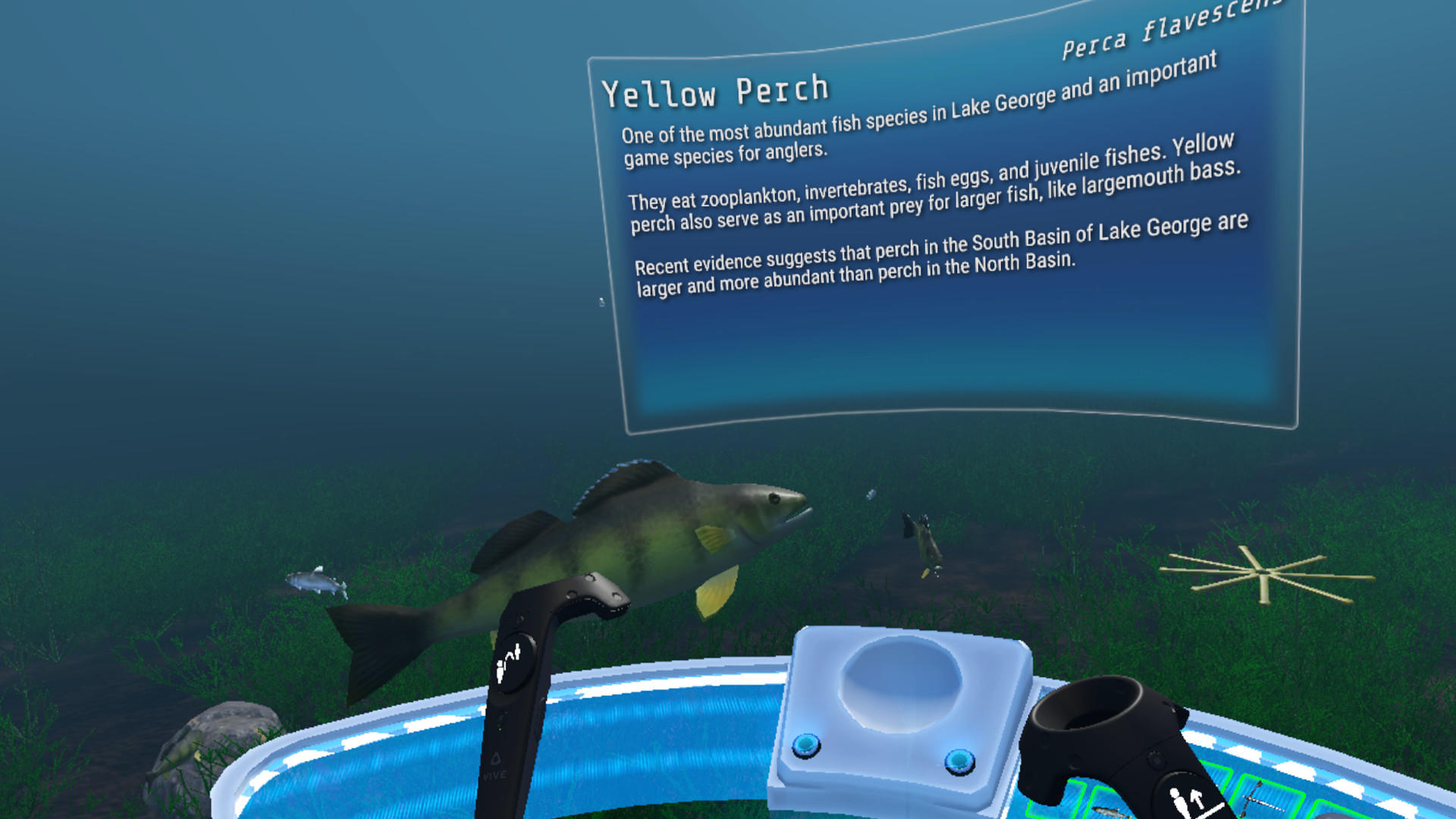 Screenshot of The Aquatic Messenger