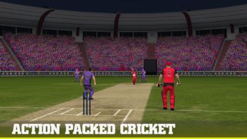 Big Bash Cricket Game Screenshot