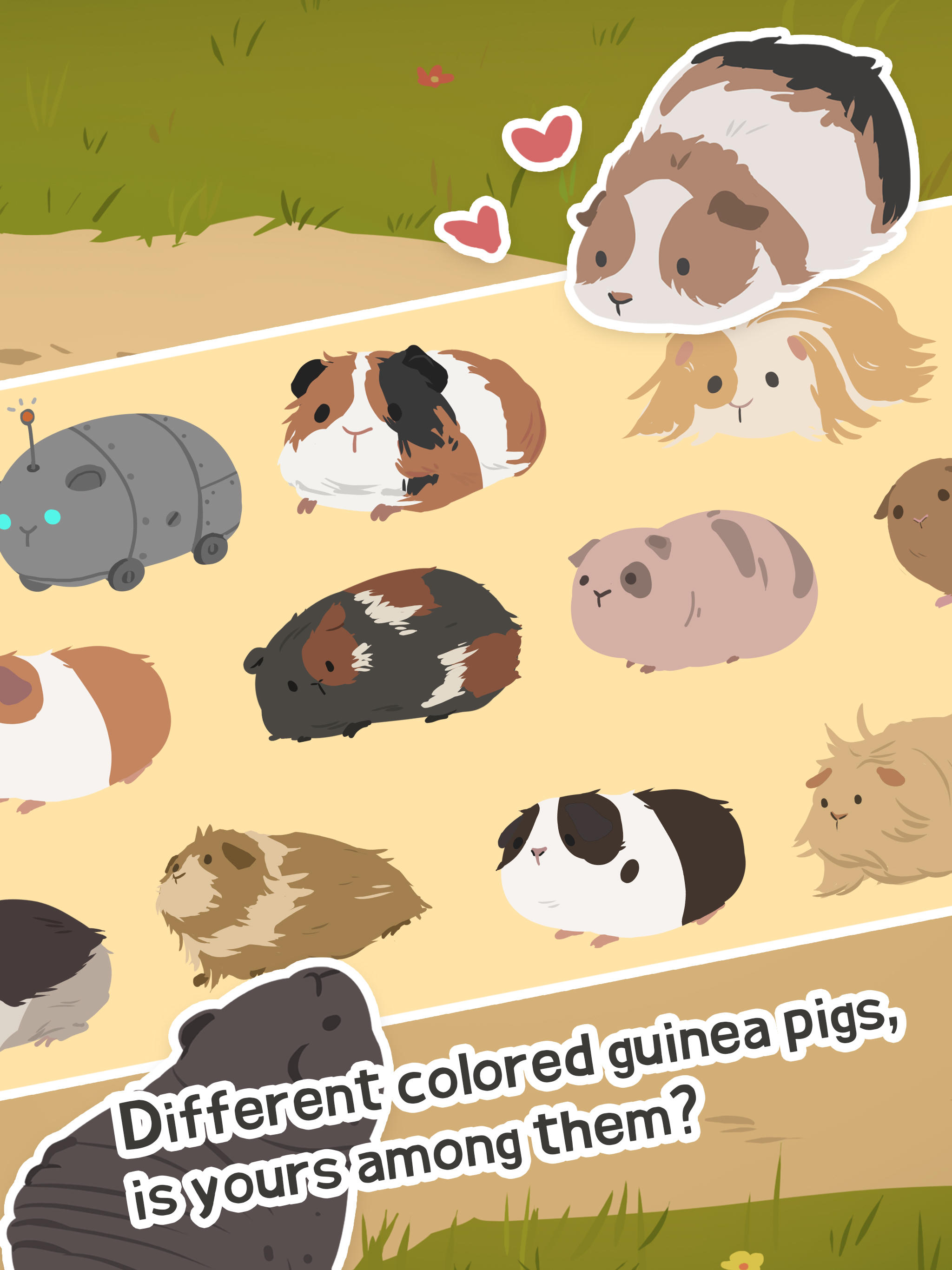 Guinea Pig Farm android iOS apk download for free-TapTap