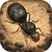 Les fourmis : royaume souterrain