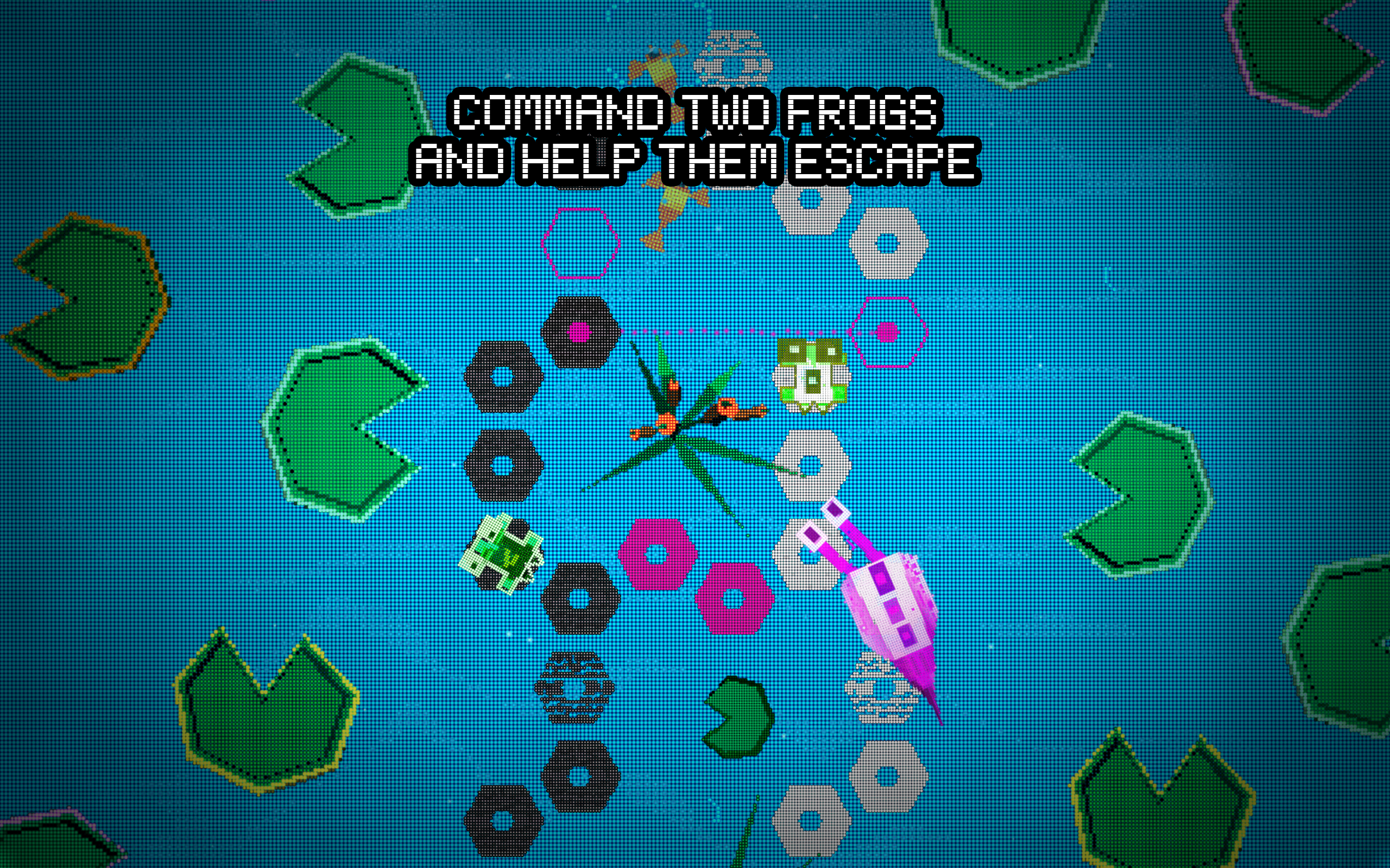 Project Frox Game Screenshot