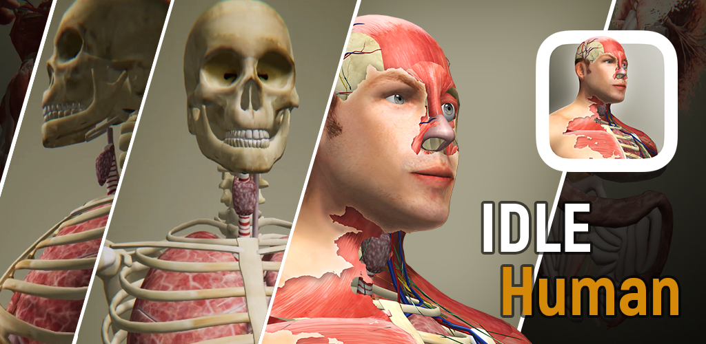 Banner of Idle Human 1.17
