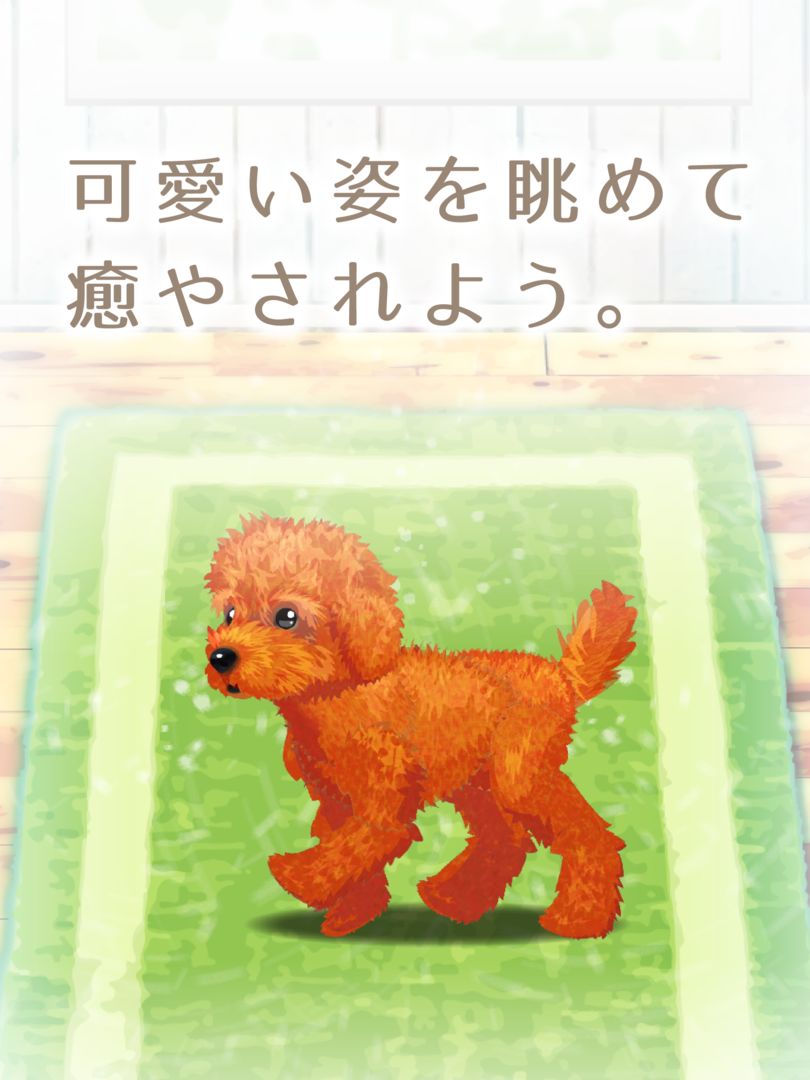癒しの子犬育成ゲーム〜トイプードル編〜遊戲截圖