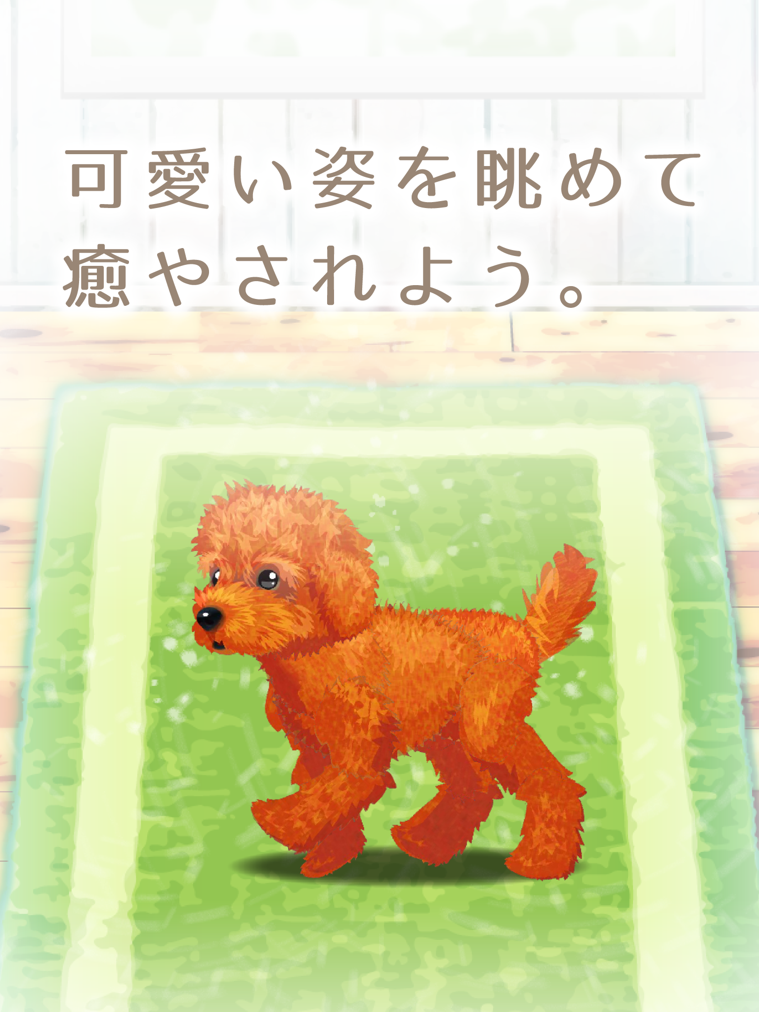 Cuplikan Layar Game 癒しの子犬育成ゲーム〜トイプードル編〜
