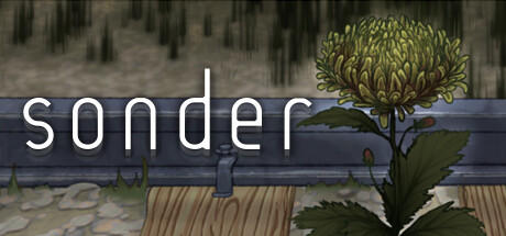 Banner of Sonder 