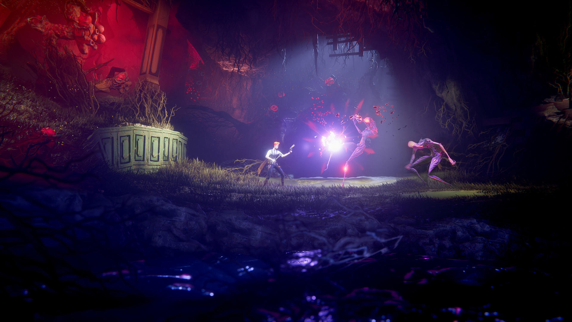 Screenshot of The Last Case of Benedict Fox