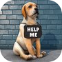 Icon of Dog Life: Animal Rescue Games