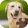 Life Jigsaw Puzzles
