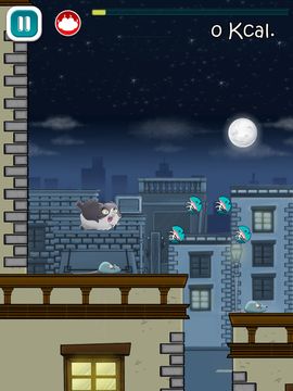 Chunky Cat Game Screenshot