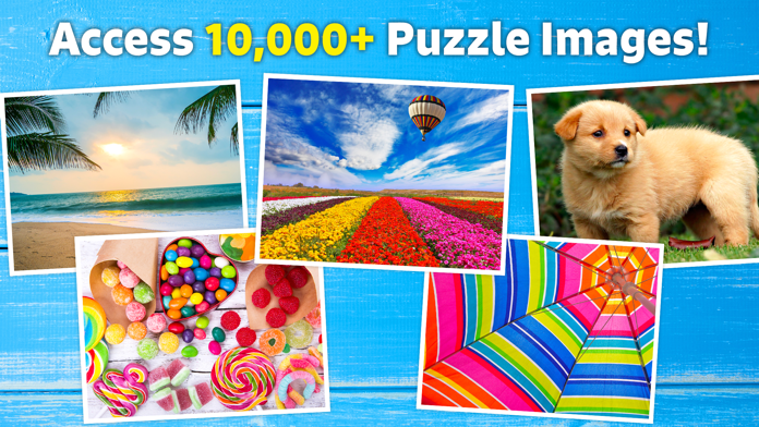 Jigsaw Puzzle Bug Game Screenshot